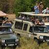 3 Days Best of Masai Mara Safari thumb 4