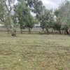 1/2 acre for sale Karen off ndege road thumb 3