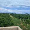 1 acre for sale in Diani thumb 6