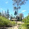 5 bedroom house on 3.3 acres in Nanyuki for sale thumb 4