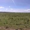 78,800 acres Land for sale thumb 1