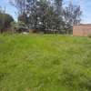 1/8 ACRE PLOT SALE IN NDOVU AINAPTICH, ELDORET CITY thumb 5