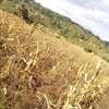 4 Acres Land for Sale thumb 3