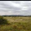 15 plots each for sale near olepolos country club at kisames thumb 0