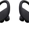 Powerbeats Pro Wireless Earbuds - Apple H1 Headphone Chip, Class 1 Bluetooth Headphones, 9 Hours of Listening Time, Sweat Resistant, Built-in Microphone thumb 0