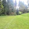 Commercial Property in Lower Kabete thumb 3