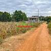 0.125 ac Residential Land in Kamangu thumb 20