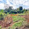 0.05 ha Residential Land at Muthiga thumb 11