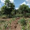 1200 acres of agricultural land along river makueni county thumb 1