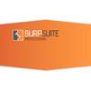 Burp Suite Professional 2020 thumb 1