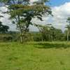 Land at Kiserian thumb 1