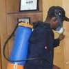 Bedbug, Pest Control Services In Nairobi. Professional & Very Affordable thumb 2