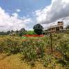 0.05 ha Residential Land in Gikambura thumb 1