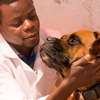 THE BEST 10 Pet Groomers in Nairobi,Kenya thumb 11