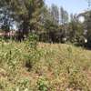 0.5 ac residential land for sale in Ngong thumb 6