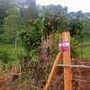 0.25 ac Land at Nyeri thumb 3