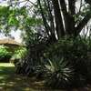 4 Bed House in Lavington thumb 7