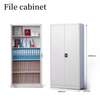 Office Cabinet; 2-door Metal Storage File Long Door Cabinet thumb 2