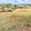 0.05 ha Residential Land at Ondiri thumb 4