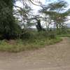 1/4 Acre Land For sale in Nakuru, Miti Mingi thumb 6