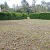 Beautiful one eighth plots in Ngong thumb 1
