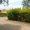 3 Bed House with Garden in Thika thumb 3