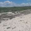 10 Acres Of Beach Plots Facing The Sea In Kwale Are For Sale thumb 0