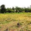5000 m² residential land for sale in Mwea thumb 4