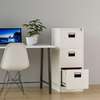 Office Cabinet: Modern Vertical Steel Cabinet thumb 4