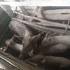 Naomi's pig farming thumb 0