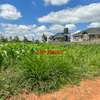0.1 ha Residential Land at Lusigetti thumb 22