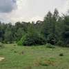 1/4 PLOT FOR SALE IN ST GEORGE'S KAPSERET ELDORET thumb 7