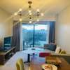 Furnished 1 Bed Apartment with En Suite at Mbaazi Avenue thumb 24