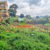 0.10 ha Residential Land in Kikuyu Town thumb 10