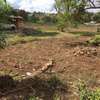 land for sale in Thika thumb 1