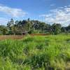 6,000 m² Land in Limuru thumb 14