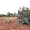 Prime 1/4 acre plot for sale in Daykio Bustani Ruiru thumb 7