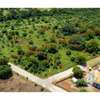 Residential Land in Vipingo thumb 1