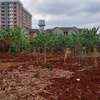 50 by 100 plot for sale in Ruaka thumb 2