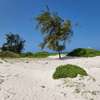 50 ac Land at Kilifi thumb 12