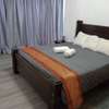 Furnished One bedroom Apartment thumb 10