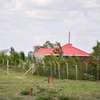 Affordable Plots For Sale in Isinya thumb 2