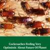 Cockroaches Spraying Services thumb 0