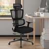 Office Chair: Ergonomic 3d Backrest High Back Office Chair thumb 4