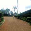 Furnished 1 Bed Apartment with En Suite in Runda thumb 0