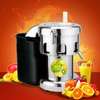 Commercial Fruit Juicer Electric Juice Extractor thumb 0