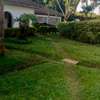 4 Bed House with En Suite in Ngong thumb 5