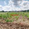0.05 ha Residential Land at Kamangu thumb 10