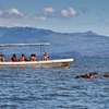 I Day Lake Naivasha & Crescent Island Tour thumb 0