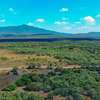 0.4 Acre Land For Sale in Naivasha , Pana Ranch thumb 5